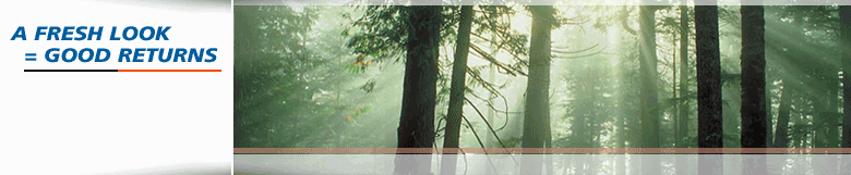 updated web design